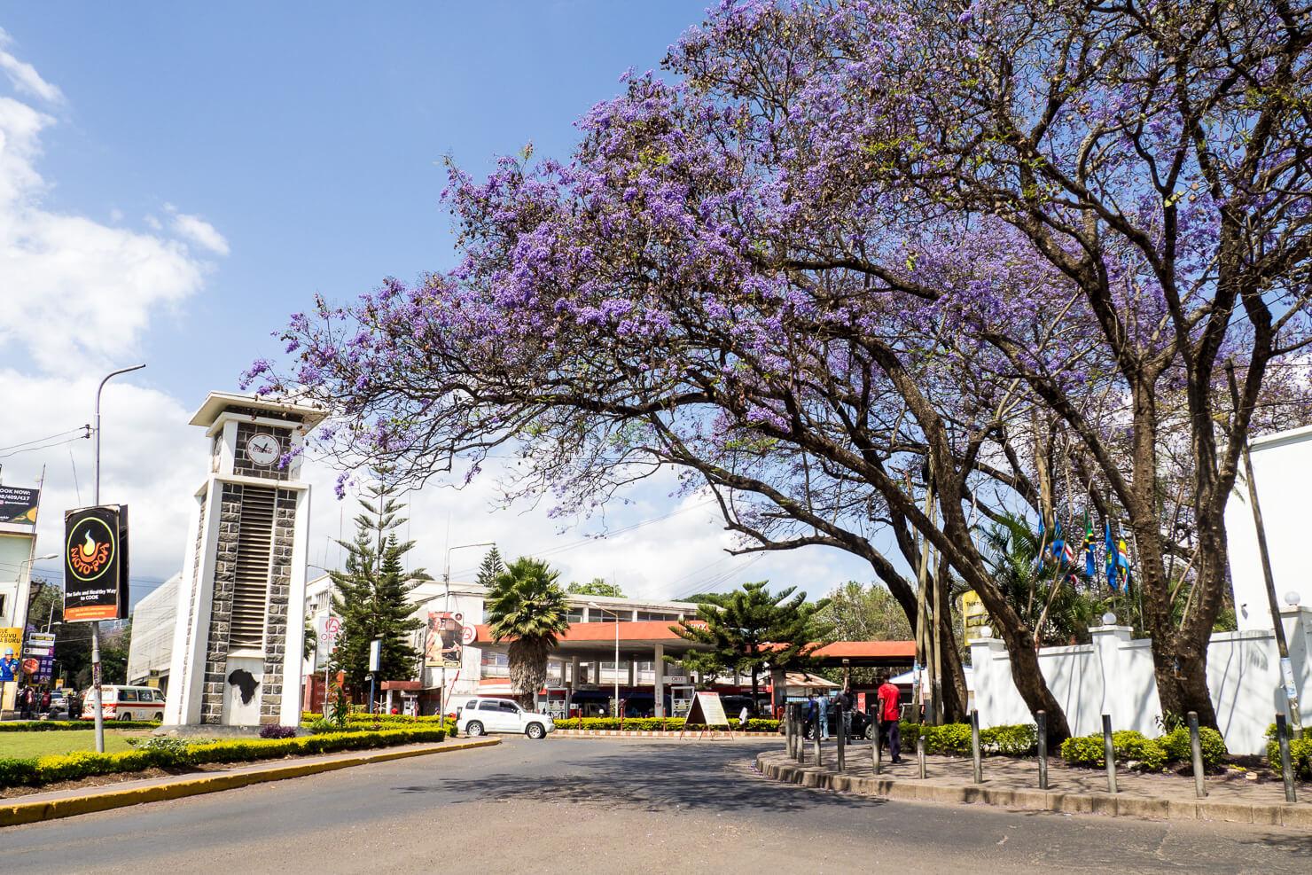 Arusha cityscape
